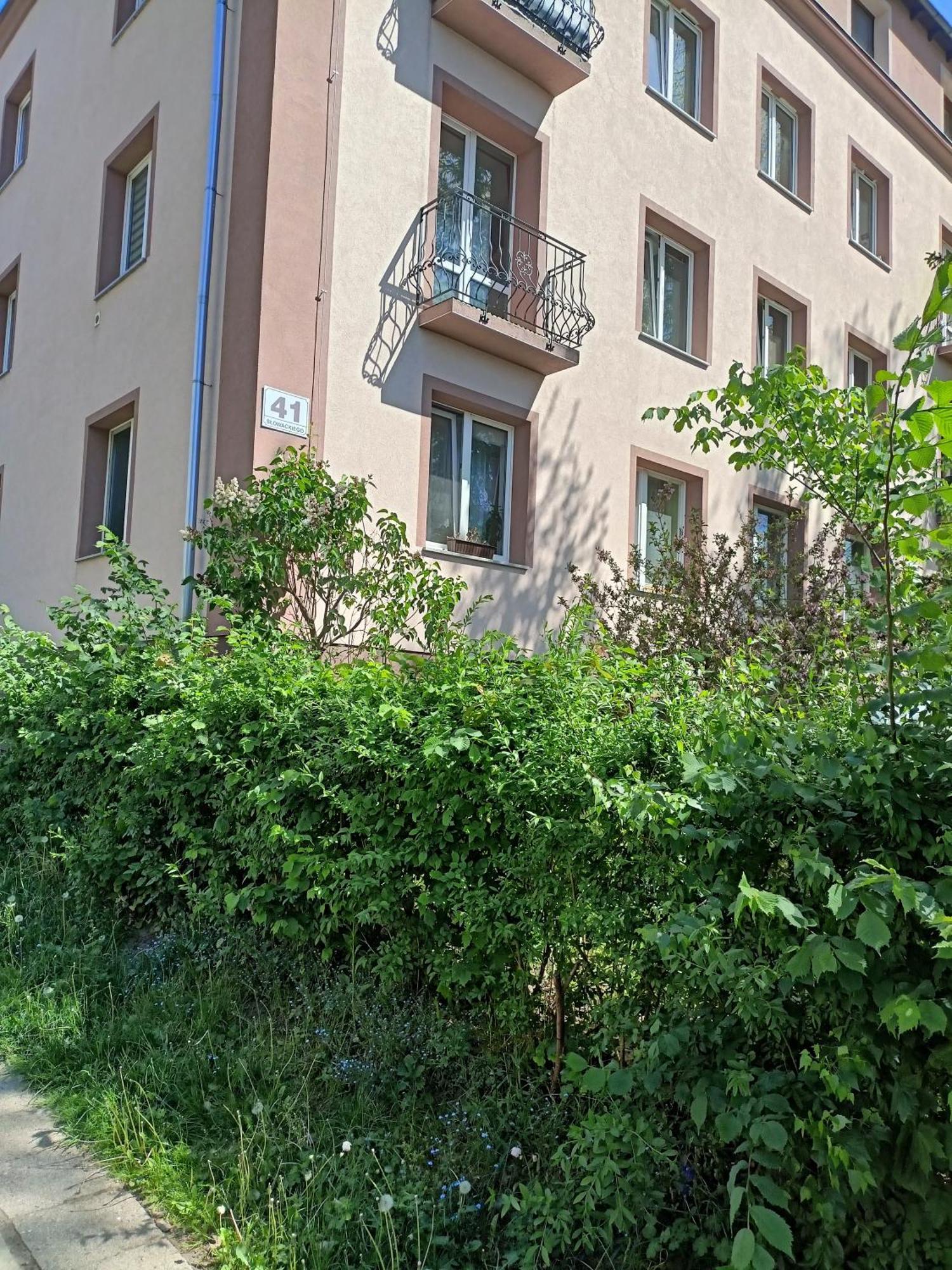 Apartament Slowackiego 41 Jelenia Góra Exteriör bild