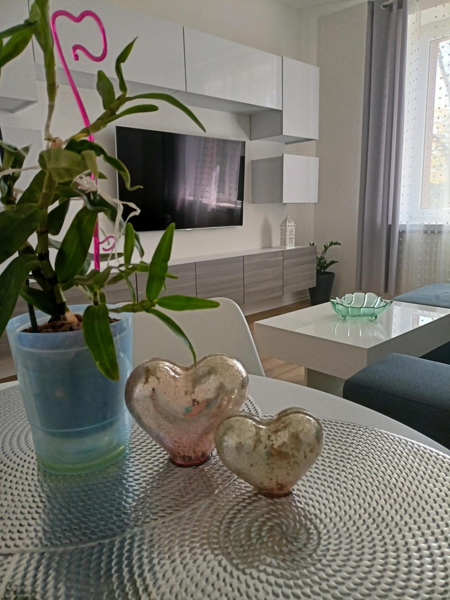 Apartament Slowackiego 41 Jelenia Góra Exteriör bild